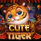 Cute Tiger